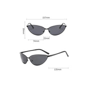 Blade Panther Sunglasses-streetwear-techwear