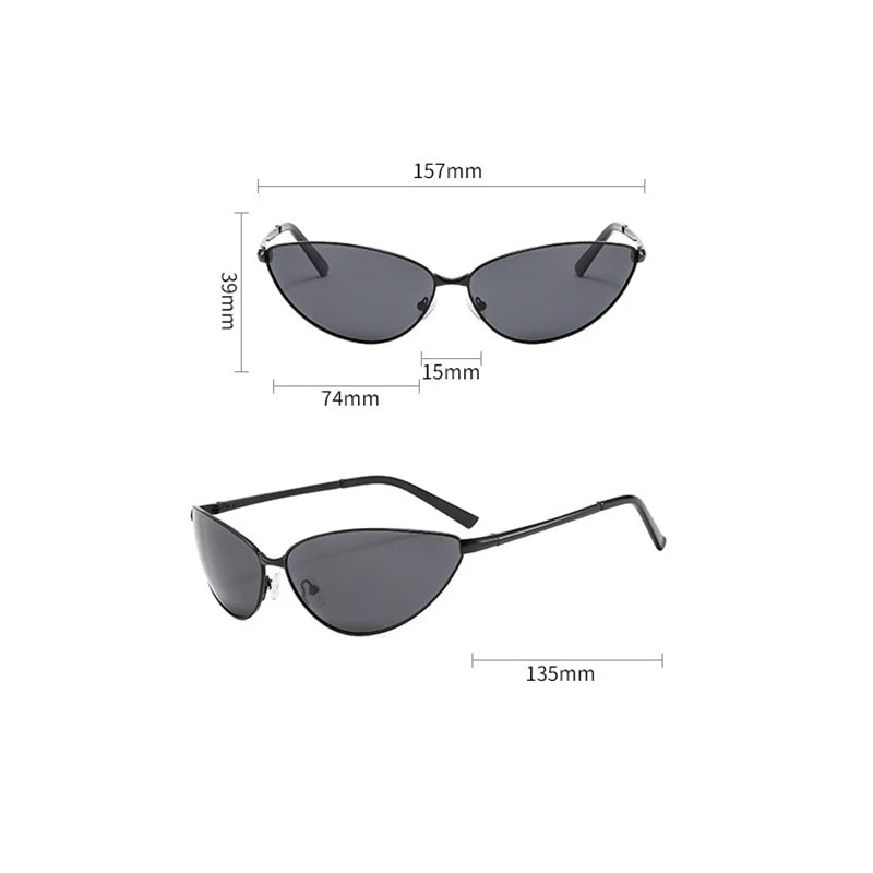 Blade Panther Sunglasses-streetwear-techwear